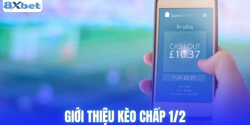 Thông tin tổng quan về kèo chấp 1/2 